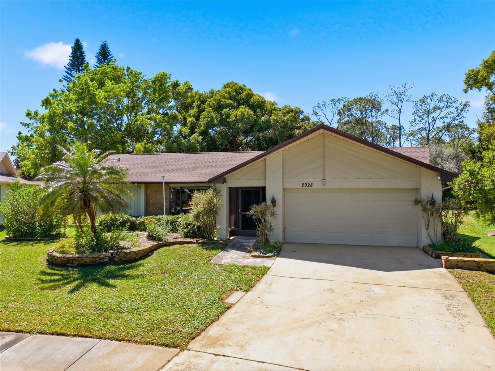 2928 Macalpin Drive S Palm Harbor FL 34684 TB8489035 image1