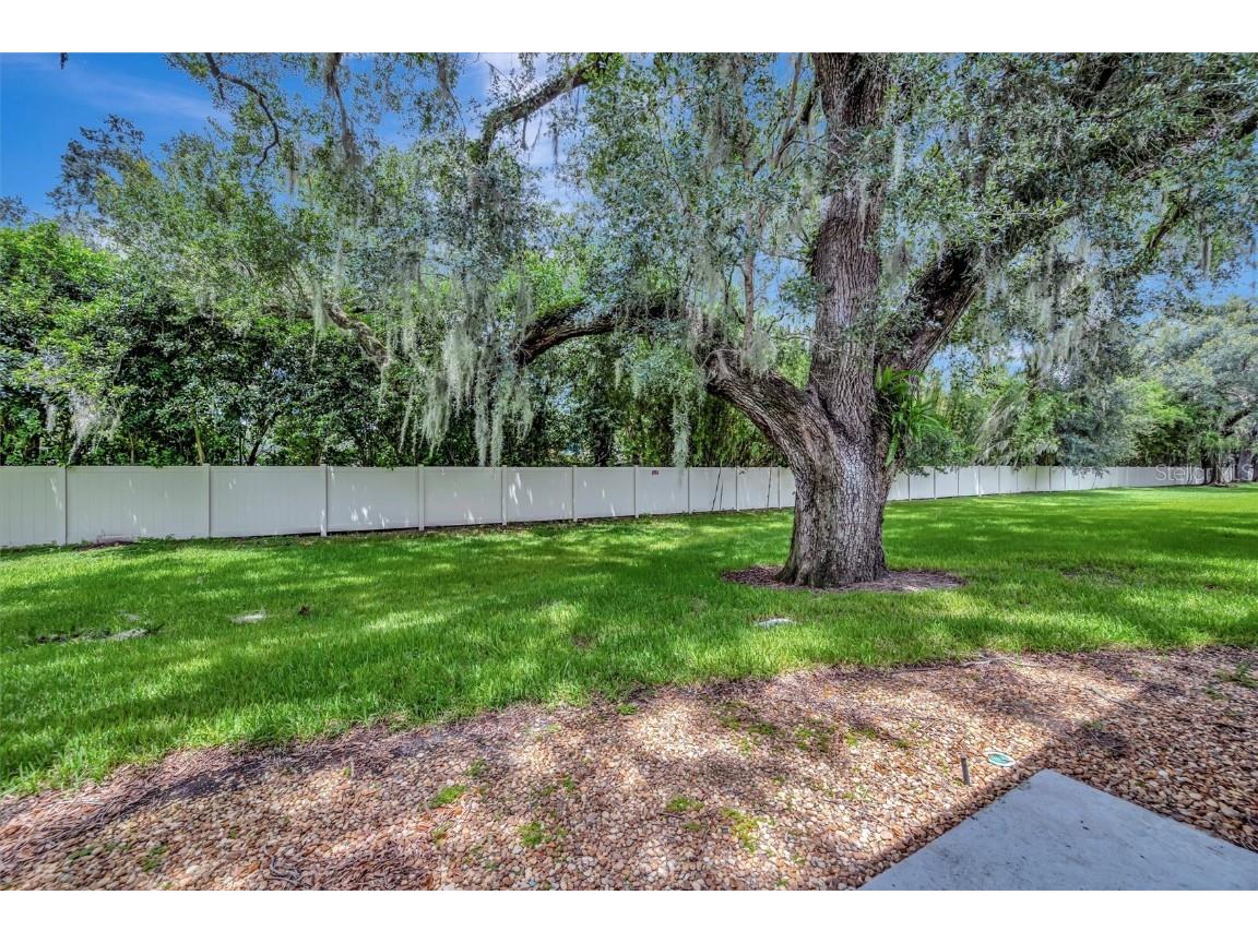 2928 Royal Tuscan Lane Valrico FL 33594 TB8416291 image59