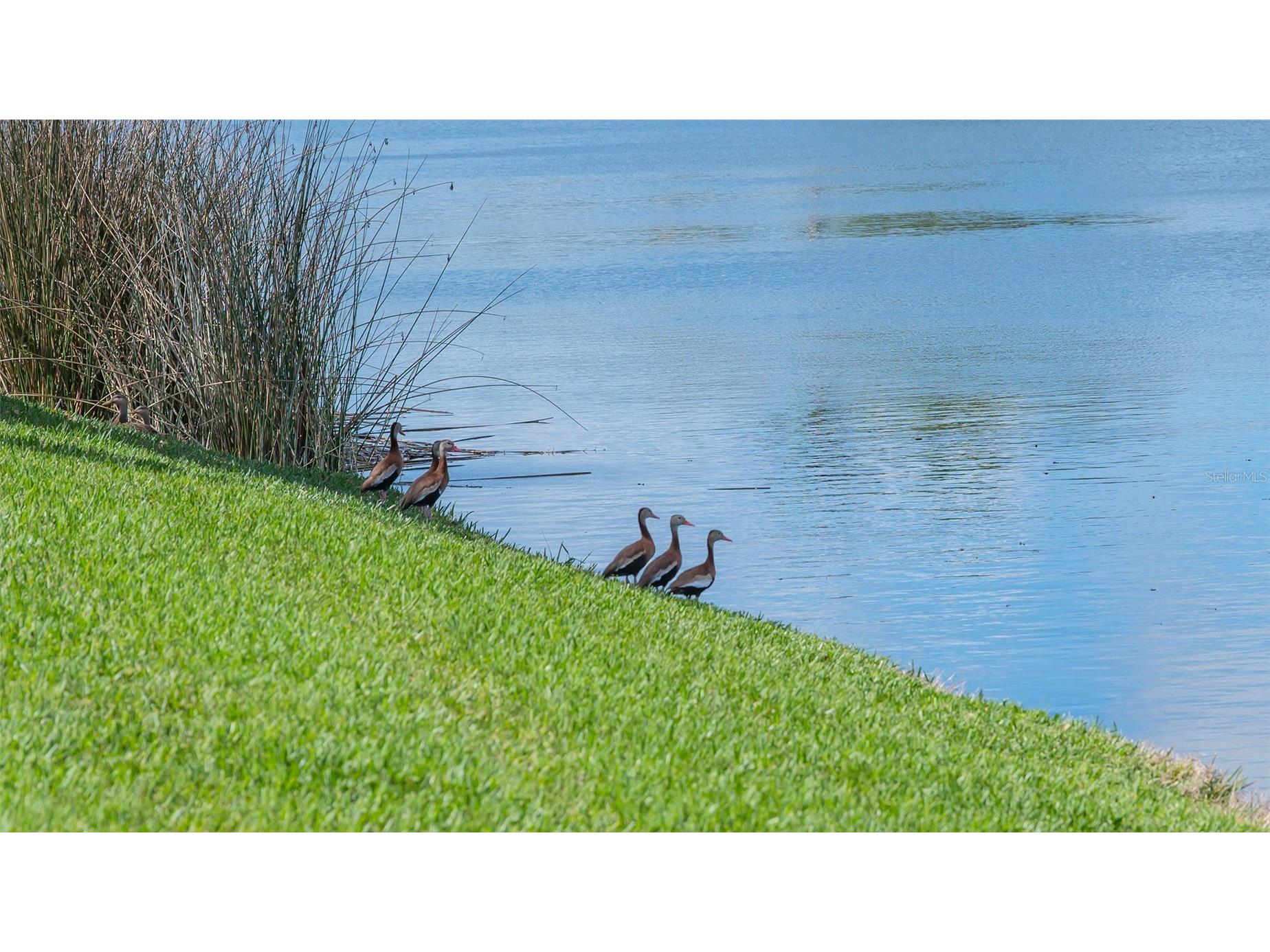 2928 Seasons Boulevard Sarasota FL 34240 A4683993 image50