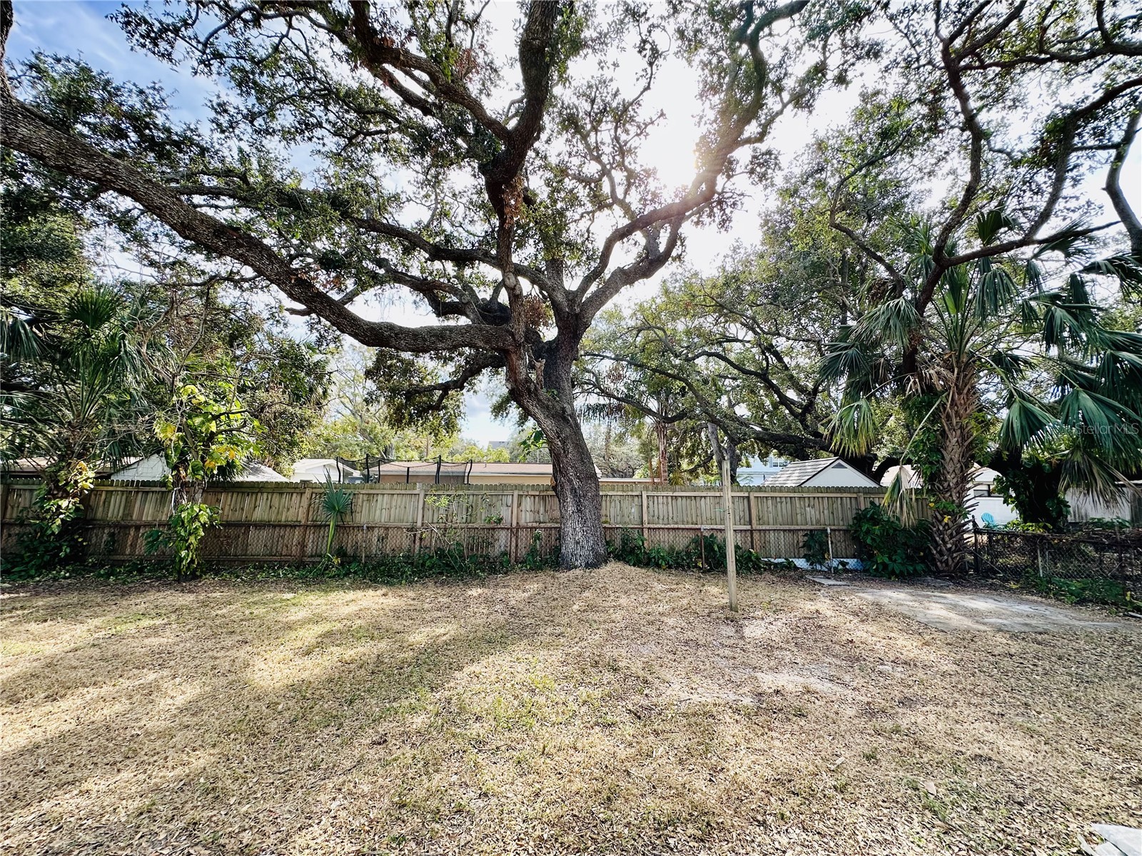 2928 W Elrod Avenue Tampa FL 33611 TB8505852 image24