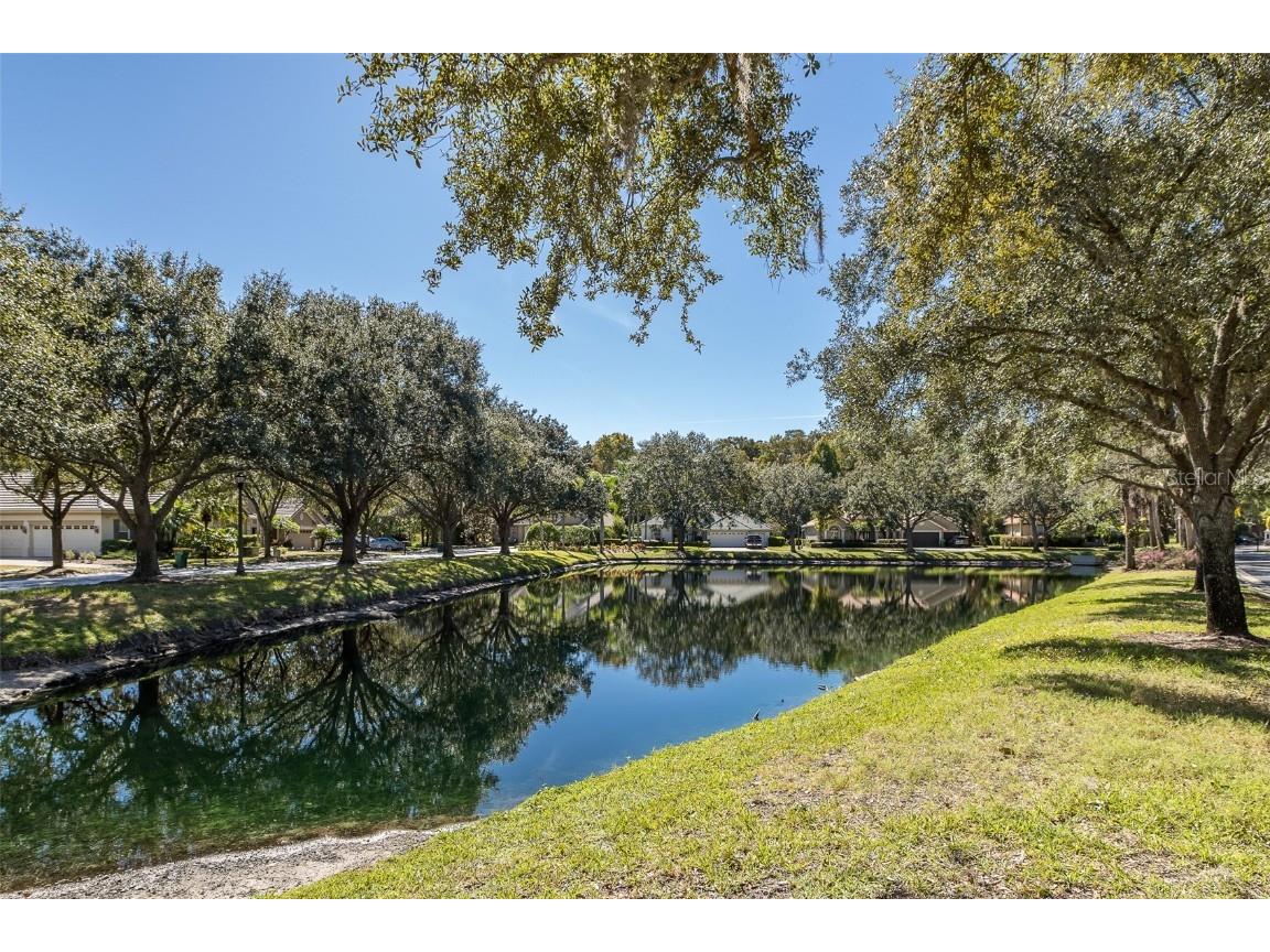 2928 Waters Edge Road Palm Harbor FL 34685 TB8446052 image4