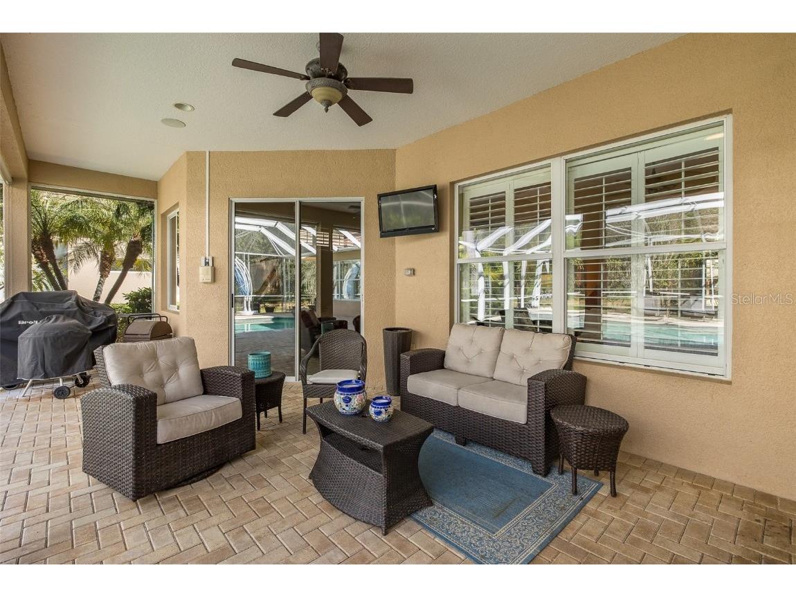 2928 Waters Edge Road Palm Harbor FL 34685 TB8446052 image41