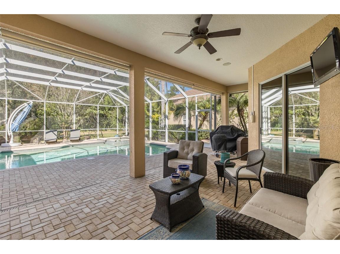 2928 Waters Edge Road Palm Harbor FL 34685 TB8446052 image42