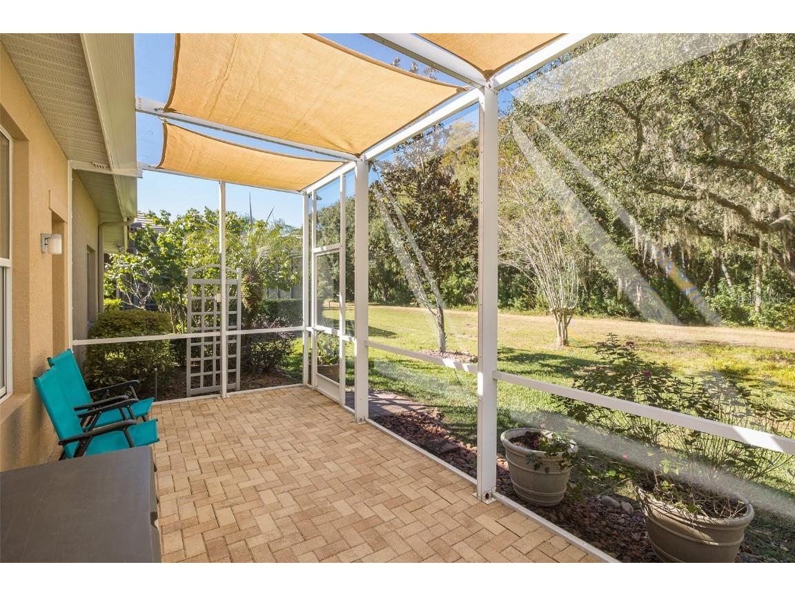 2928 Waters Edge Road Palm Harbor FL 34685 TB8446052 image44