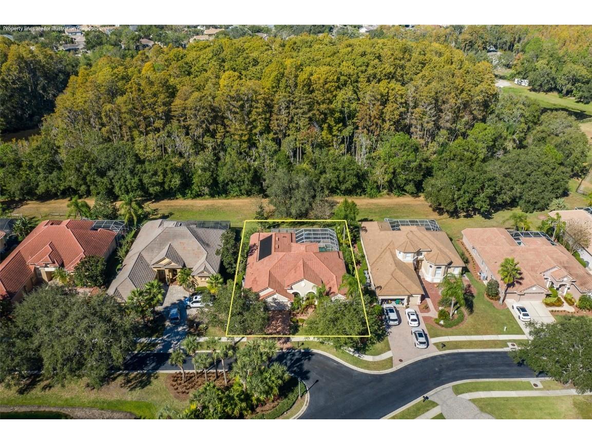 2928 Waters Edge Road Palm Harbor FL 34685 TB8446052 image52