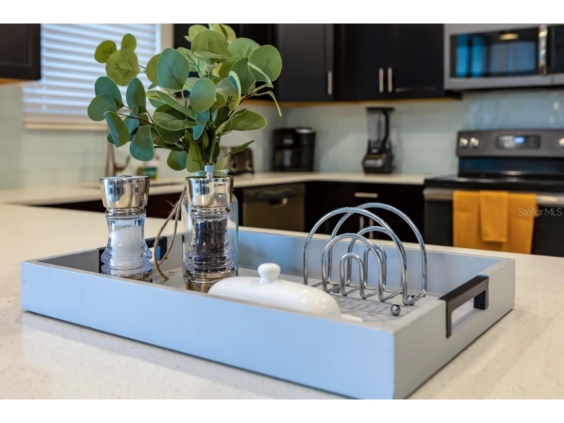 2929 Fable Street Kissimmee FL 34746 O6354600 image61