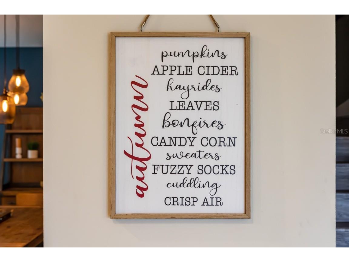 2929 Fable Street Kissimmee FL 34746 O6354600 image62