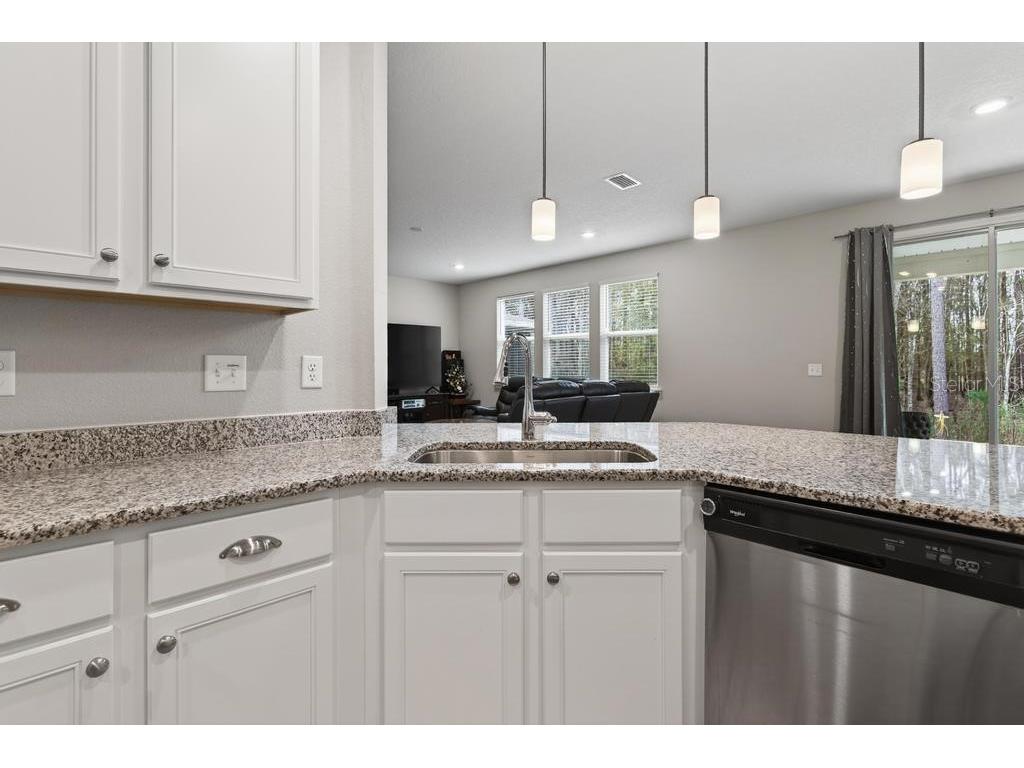 2929 Lucille Lane Middleburg FL 32068 TB8478450 image16