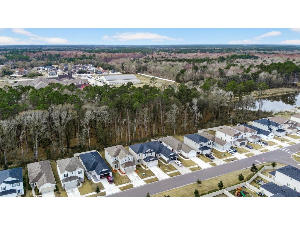 2929 Lucille Lane Middleburg FL 32068 TB8478450 image74