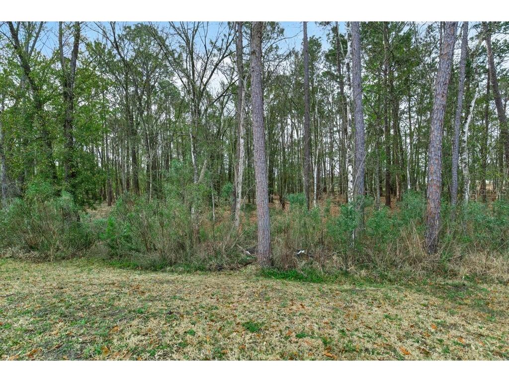 2929 Lucille Lane Middleburg FL 32068 TB8478450 image75