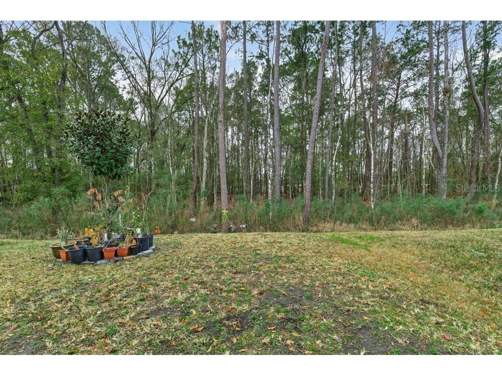 2929 Lucille Lane Middleburg FL 32068 TB8478450 image76