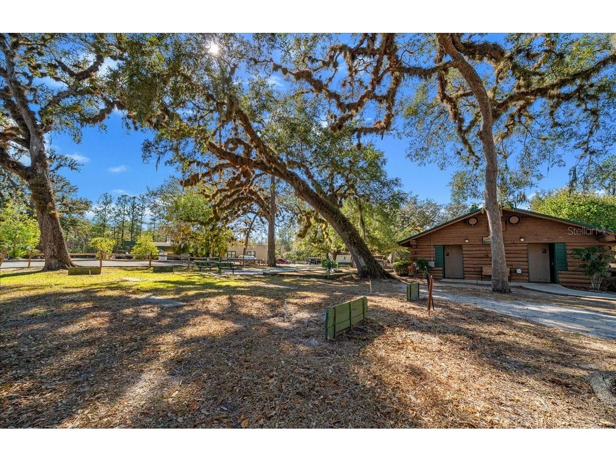 2929 NE 101st Terrace Silver Springs FL 34488 - OCKLAWAHA RIVER OM701255 image43