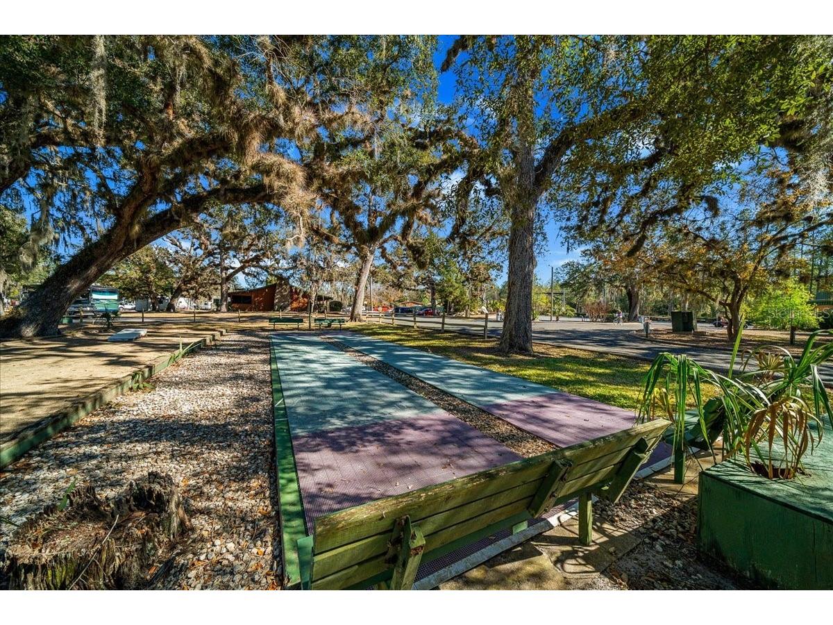 2929 NE 101st Terrace Silver Springs FL 34488 - OCKLAWAHA RIVER OM701255 image46