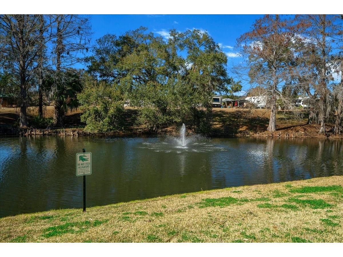 2929 NE 101st Terrace Silver Springs FL 34488 - OCKLAWAHA RIVER OM701255 image54