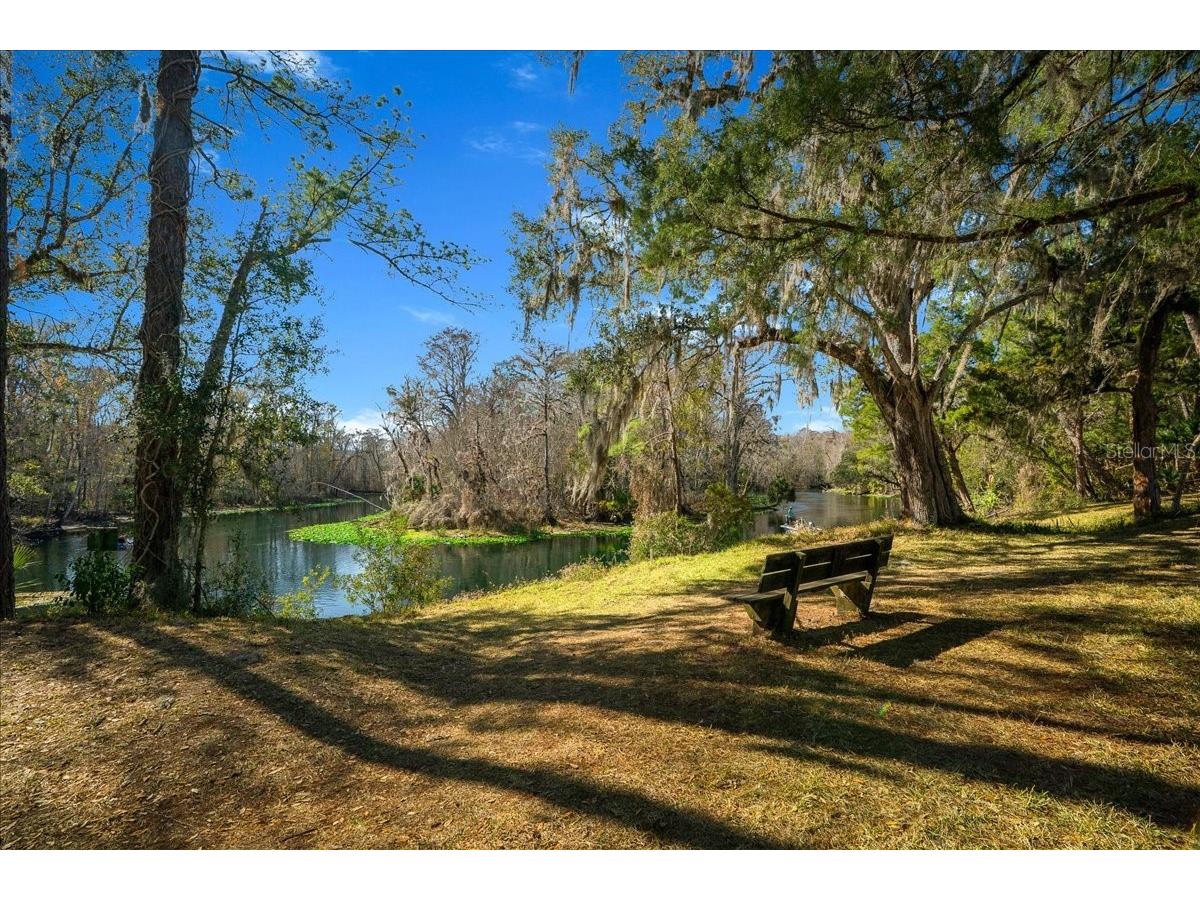 2929 NE 101st Terrace Silver Springs FL 34488 - OCKLAWAHA RIVER OM701255 image55