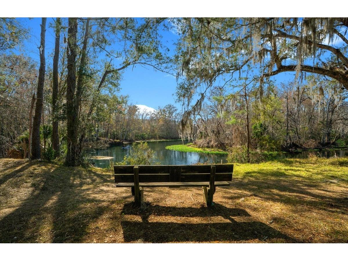 2929 NE 101st Terrace Silver Springs FL 34488 - OCKLAWAHA RIVER OM701255 image56