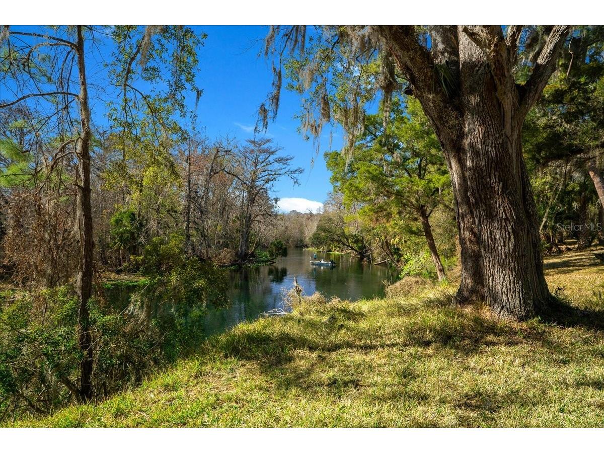2929 NE 101st Terrace Silver Springs FL 34488 - OCKLAWAHA RIVER OM701255 image57