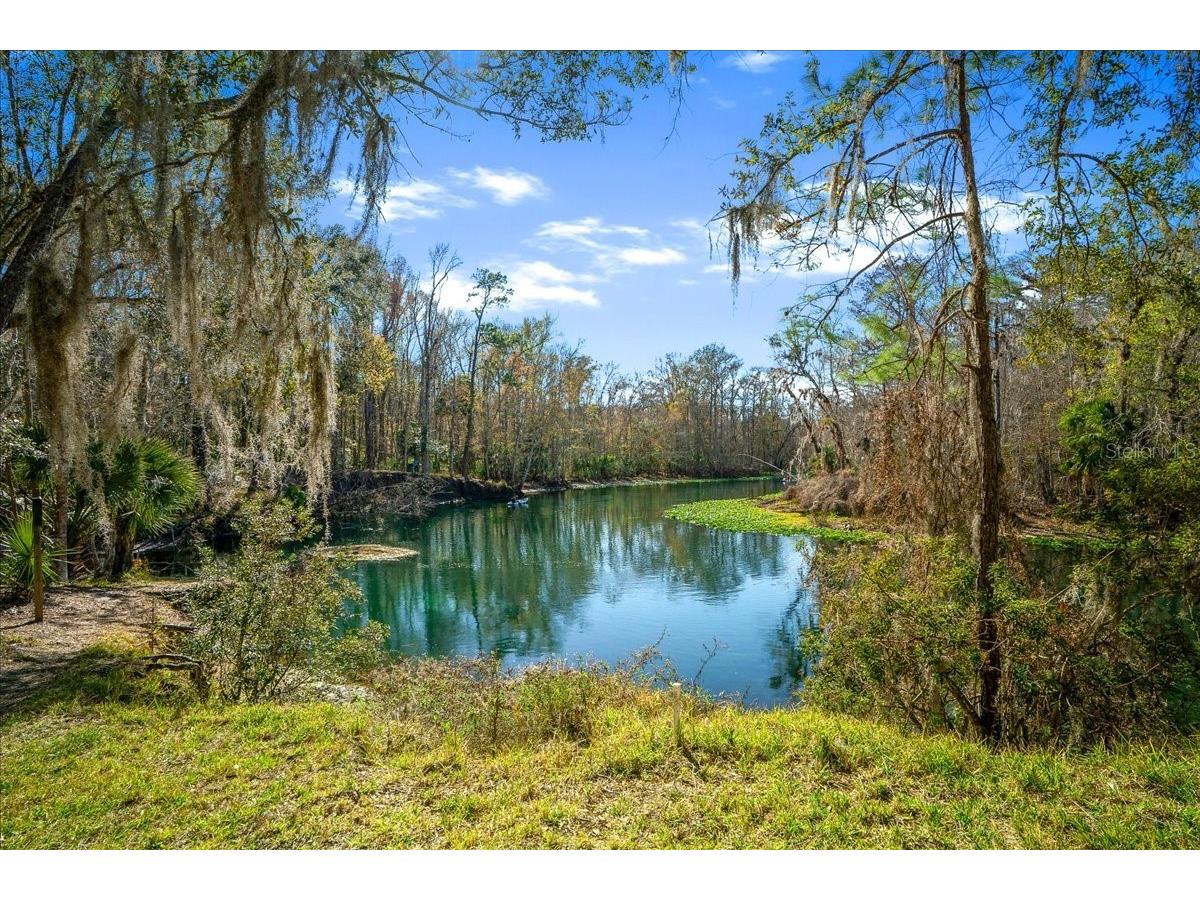 2929 NE 101st Terrace Silver Springs FL 34488 - OCKLAWAHA RIVER OM701255 image58