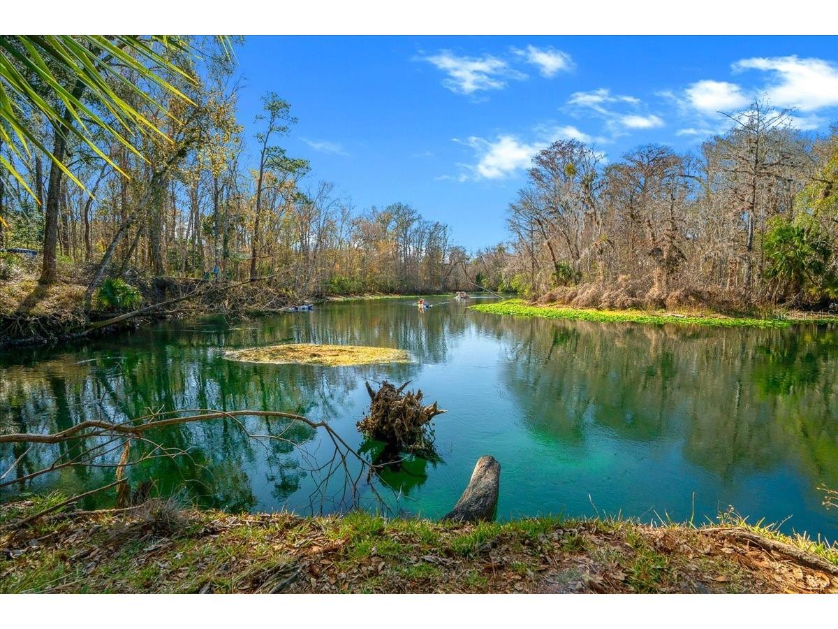 2929 NE 101st Terrace Silver Springs FL 34488 - OCKLAWAHA RIVER OM701255 image59