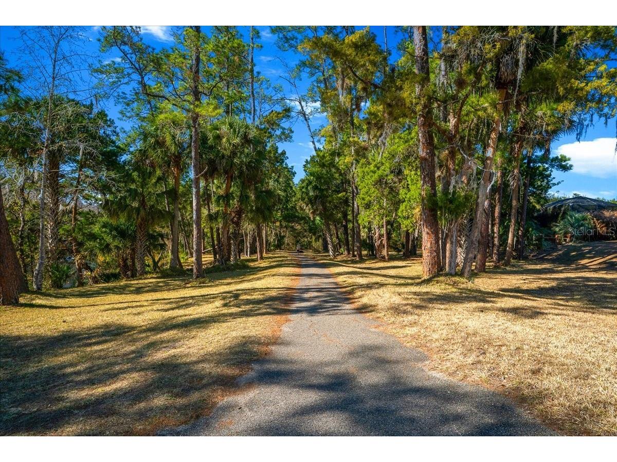 2929 NE 101st Terrace Silver Springs FL 34488 - OCKLAWAHA RIVER OM701255 image60