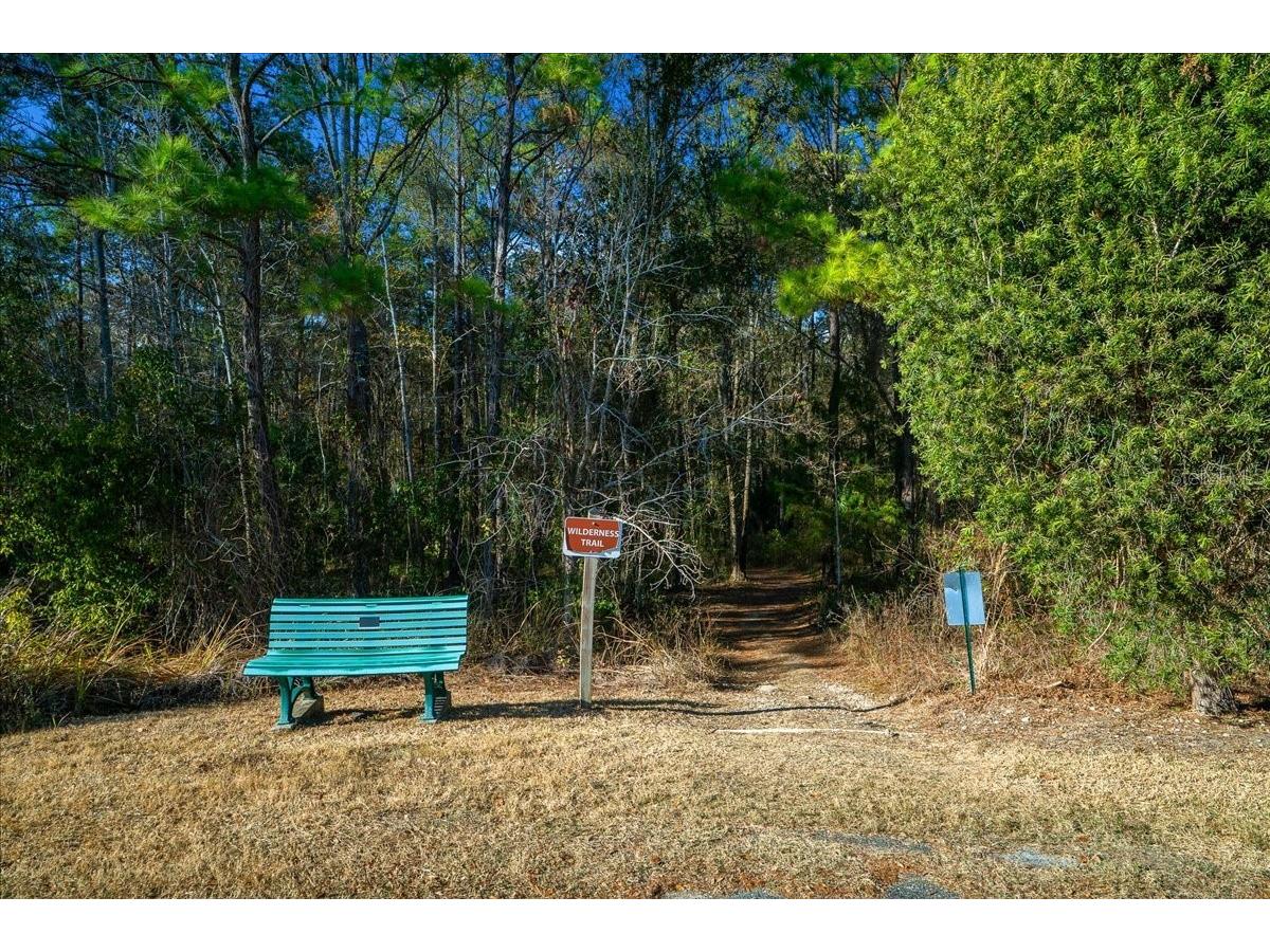 2929 NE 101st Terrace Silver Springs FL 34488 - OCKLAWAHA RIVER OM701255 image61
