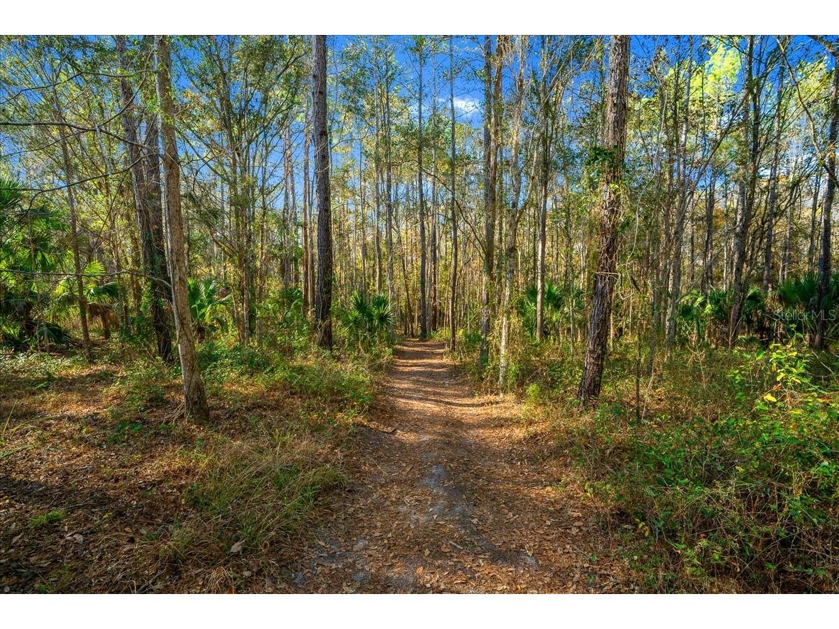2929 NE 101st Terrace Silver Springs FL 34488 - OCKLAWAHA RIVER OM701255 image62