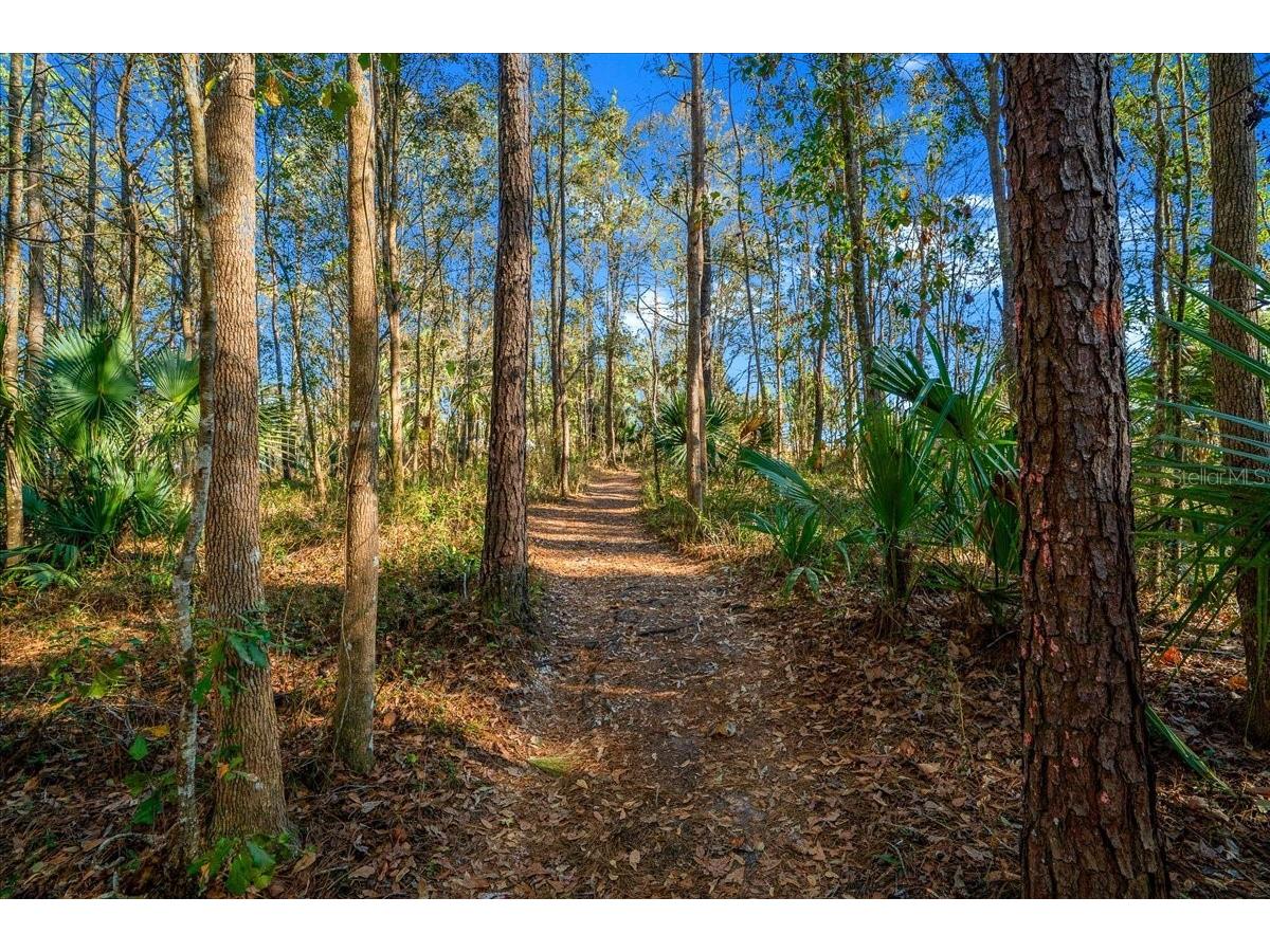 2929 NE 101st Terrace Silver Springs FL 34488 - OCKLAWAHA RIVER OM701255 image63