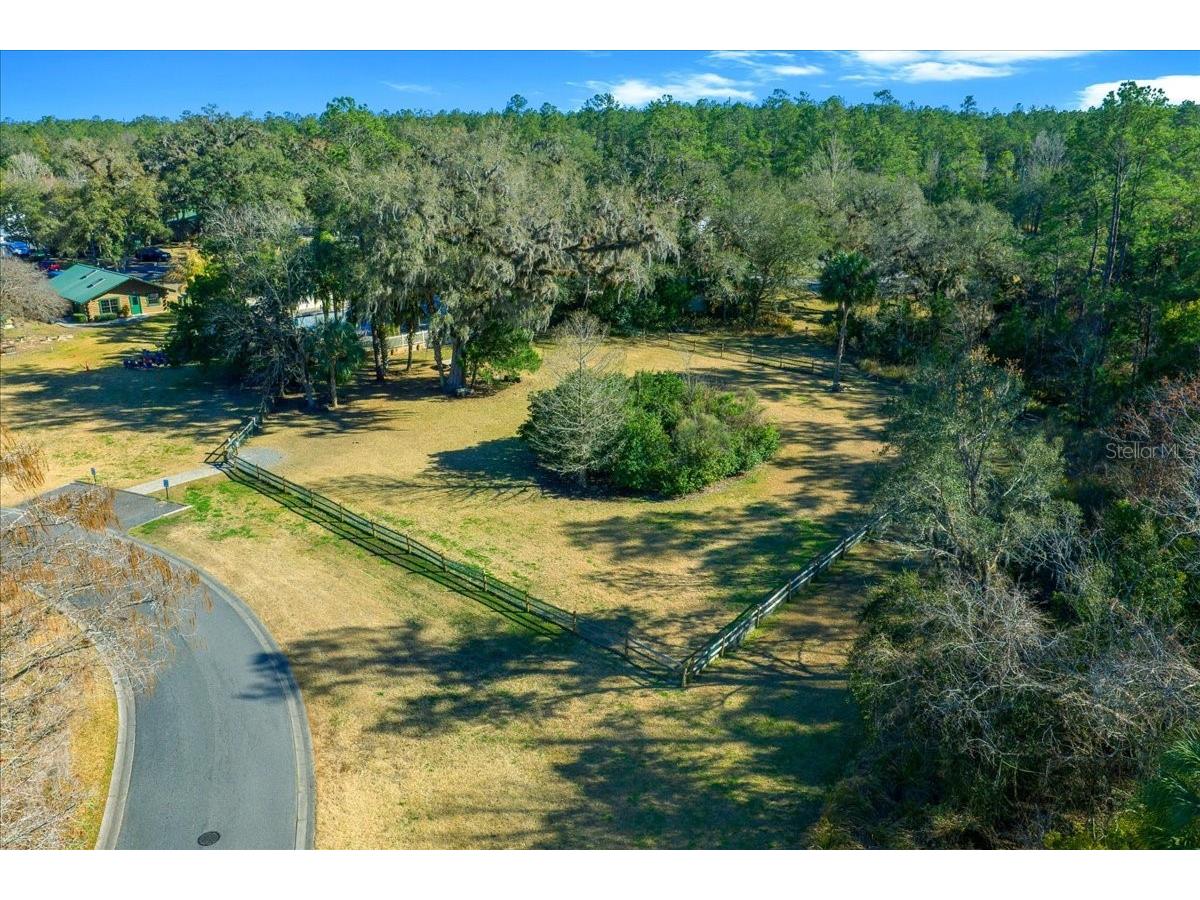 2929 NE 101st Terrace Silver Springs FL 34488 - OCKLAWAHA RIVER OM701255 image67