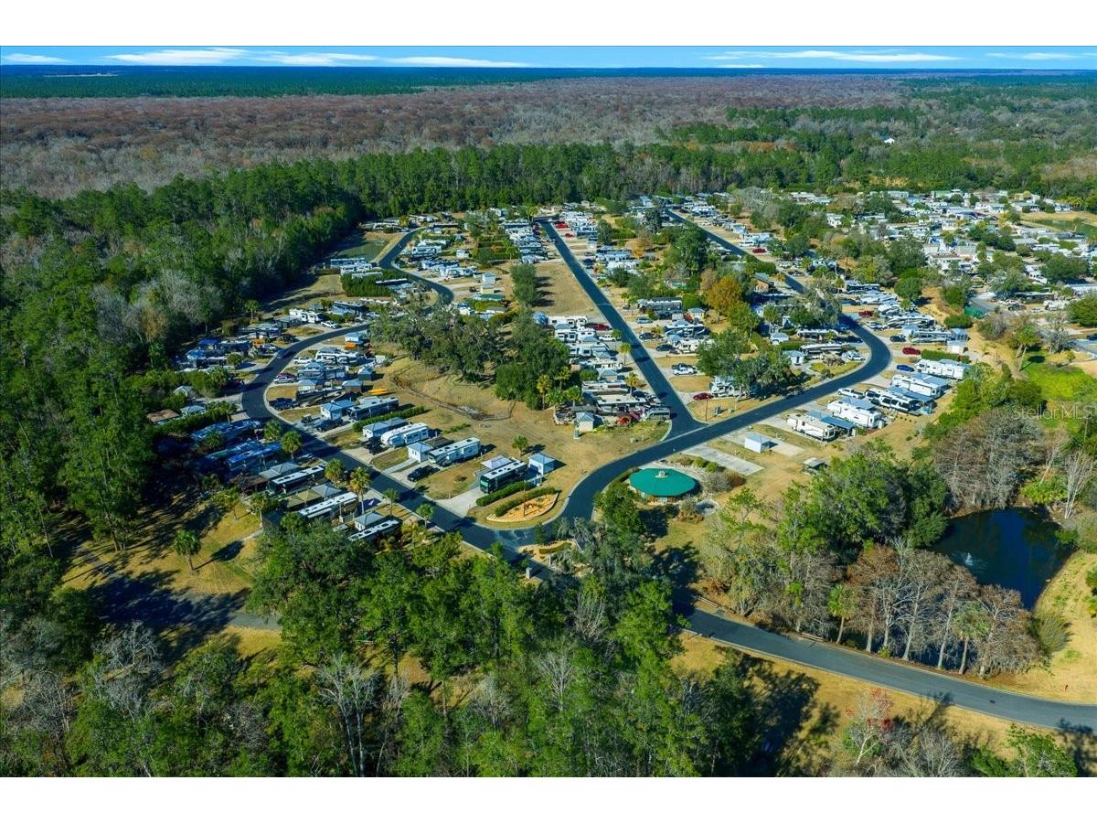 2929 NE 101st Terrace Silver Springs FL 34488 - OCKLAWAHA RIVER OM701255 image85