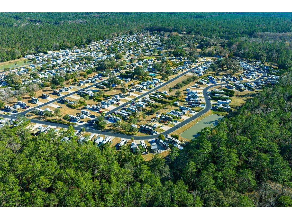 2929 NE 101st Terrace Silver Springs FL 34488 - OCKLAWAHA RIVER OM701255 image87