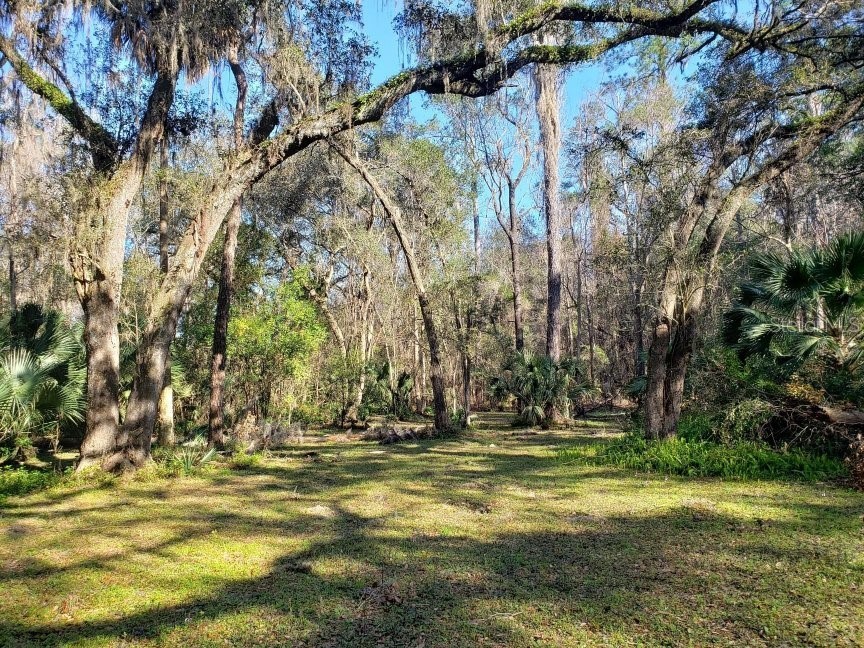 2929 SW 2nd Court Gainesville FL 32601 GC541814 image6