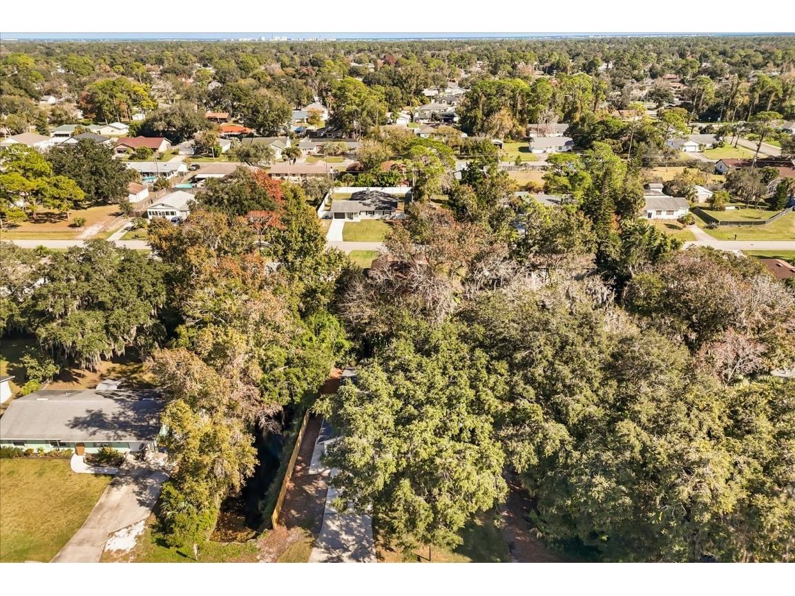 2929 Woodland Drive Edgewater FL 32141 NS1086676 image29