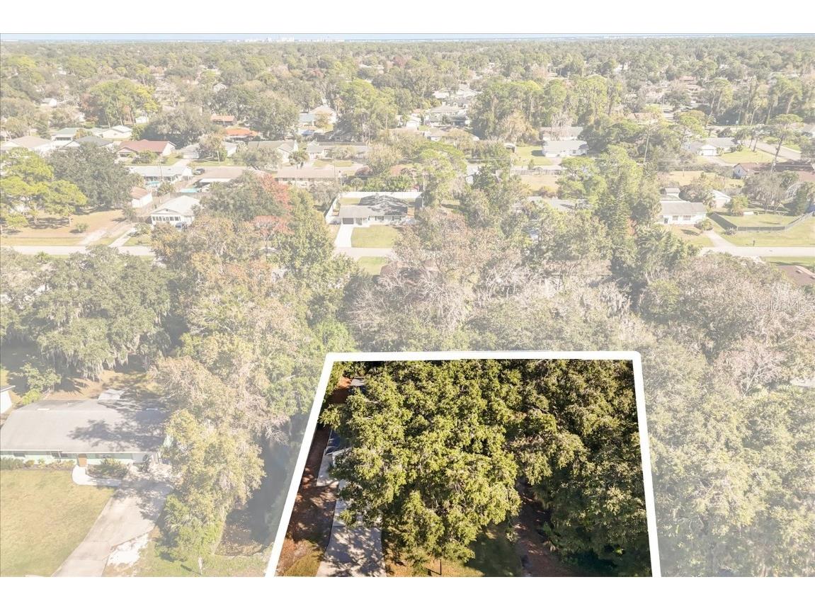 2929 Woodland Drive Edgewater FL 32141 NS1086676 image32