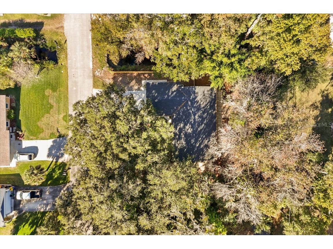 2929 Woodland Drive Edgewater FL 32141 NS1086676 image33