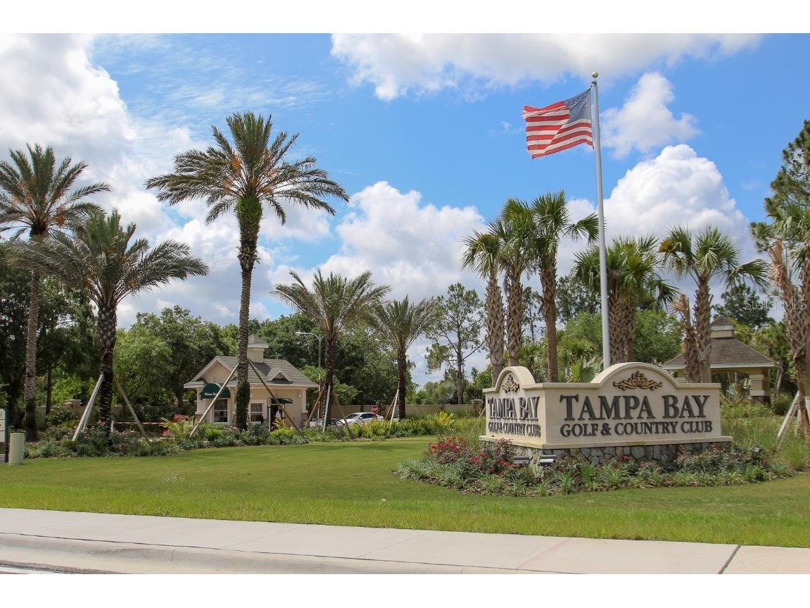 29290 Grass Bunker Drive San Antonio FL 33576 TB8454599 image22