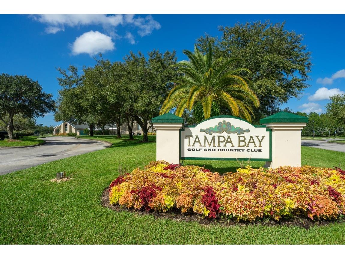 29290 Grass Bunker Drive San Antonio FL 33576 TB8454599 image23