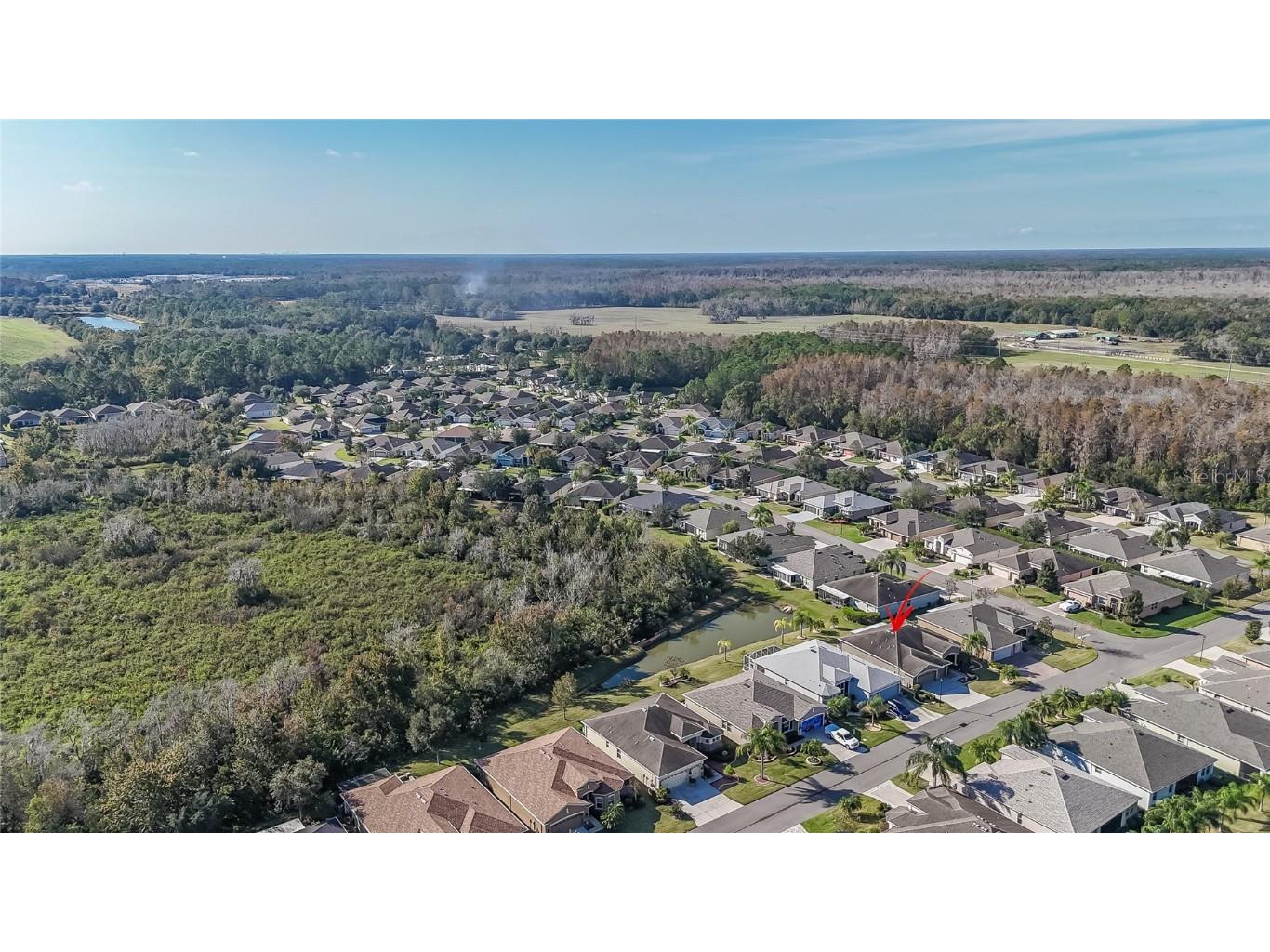 29290 Grass Bunker Drive San Antonio FL 33576 TB8454599 image24