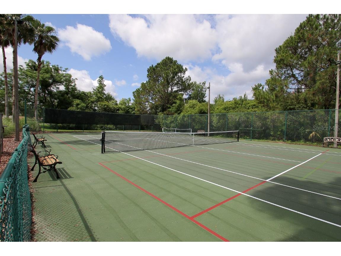 29290 Grass Bunker Drive San Antonio FL 33576 TB8454599 image57