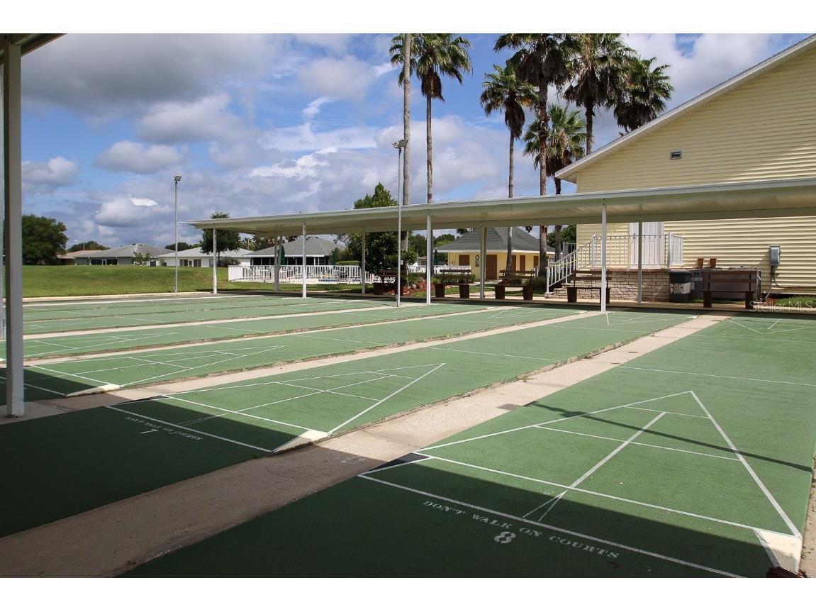 29290 Grass Bunker Drive San Antonio FL 33576 TB8454599 image58