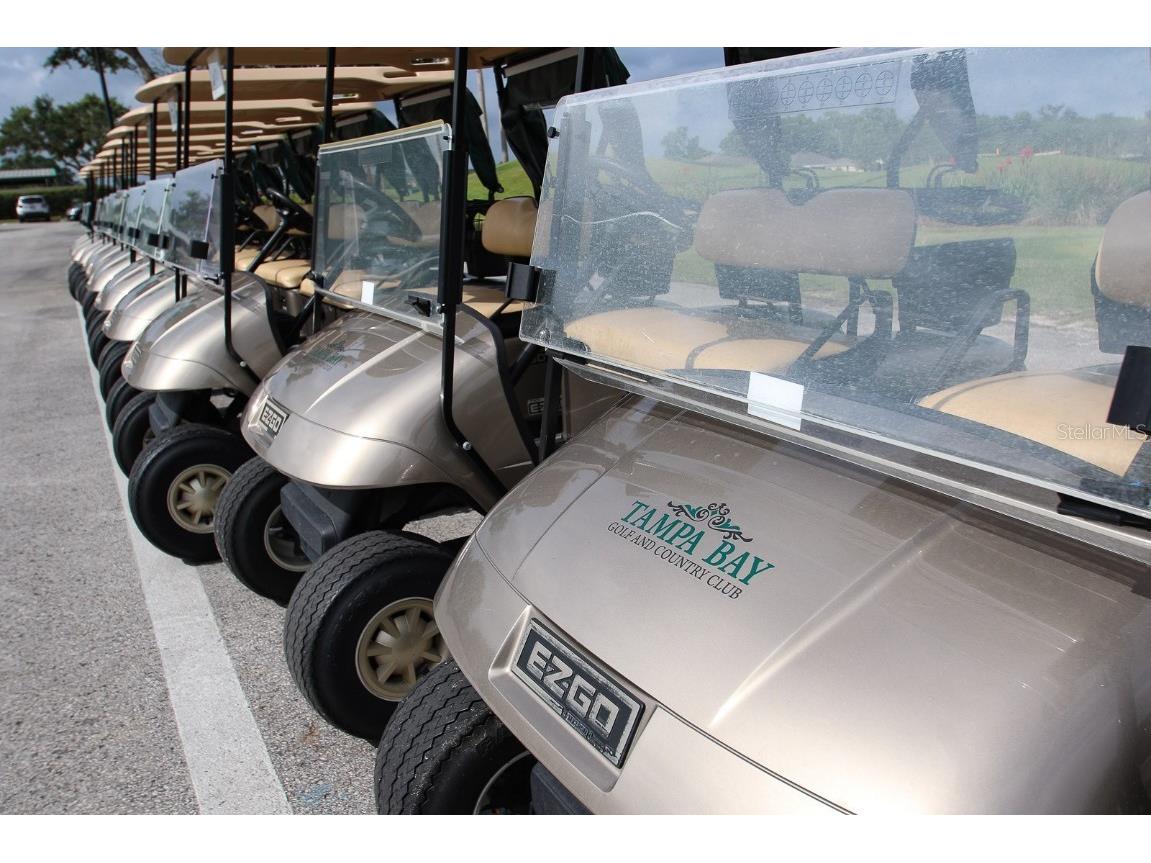 29290 Grass Bunker Drive San Antonio FL 33576 TB8454599 image61