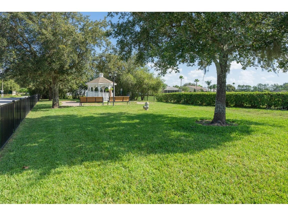 29290 Grass Bunker Drive San Antonio FL 33576 TB8454599 image63