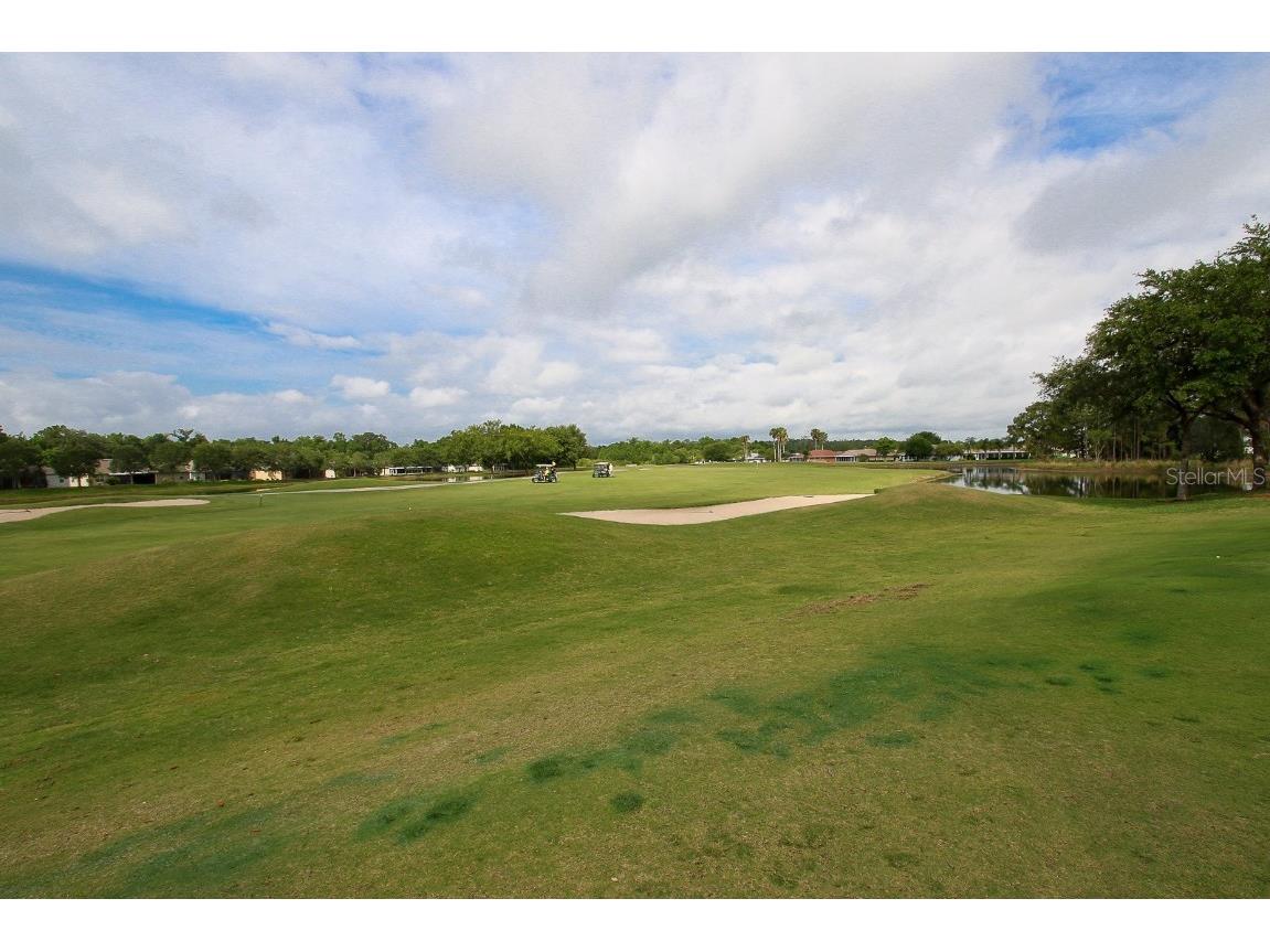 29290 Grass Bunker Drive San Antonio FL 33576 TB8454599 image64