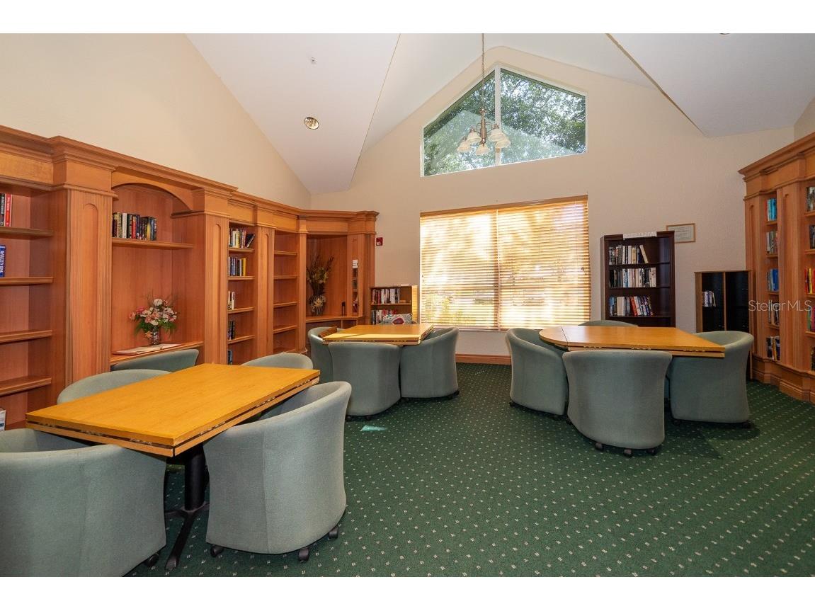 29290 Grass Bunker Drive San Antonio FL 33576 TB8454599 image66