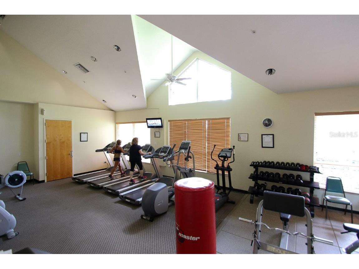 29290 Grass Bunker Drive San Antonio FL 33576 TB8454599 image68