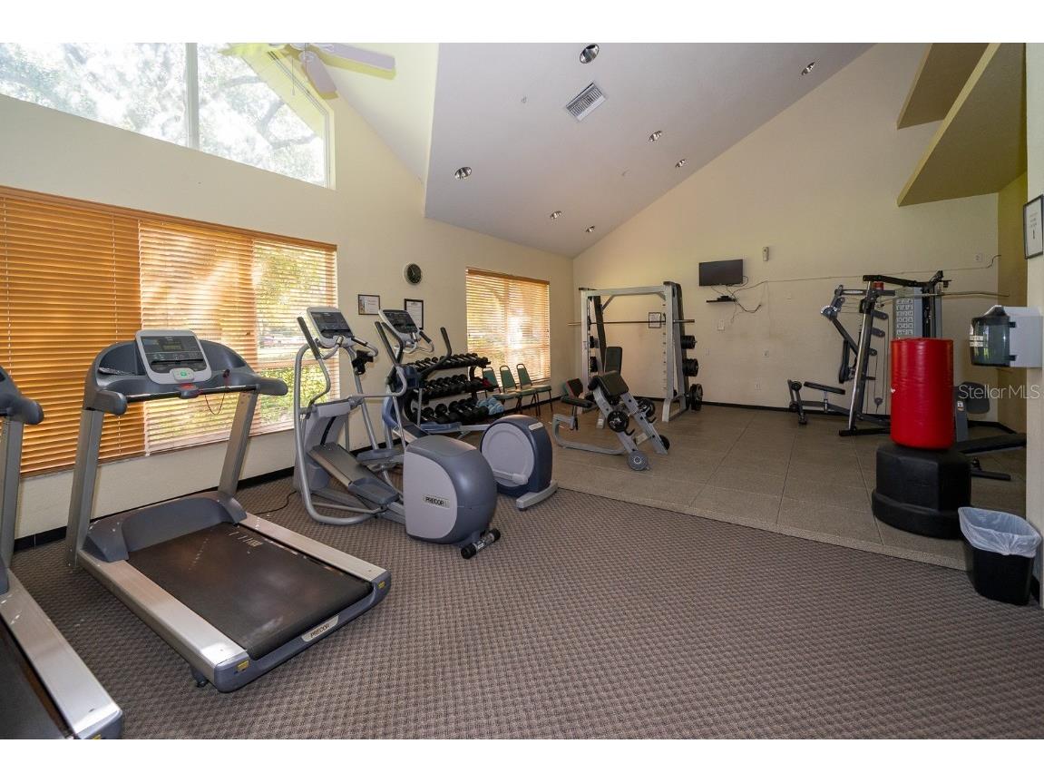 29290 Grass Bunker Drive San Antonio FL 33576 TB8454599 image72