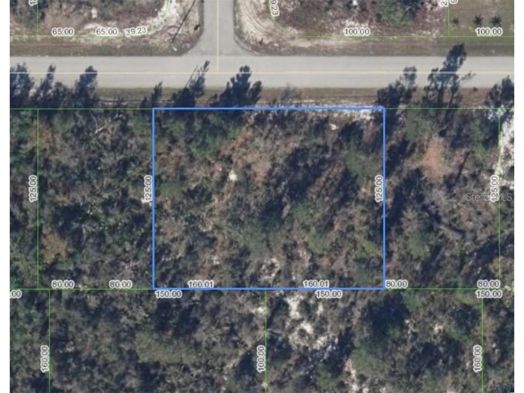 293 Lincoln Road NE #1/2 Lake Placid FL 33852 L4945239 image1