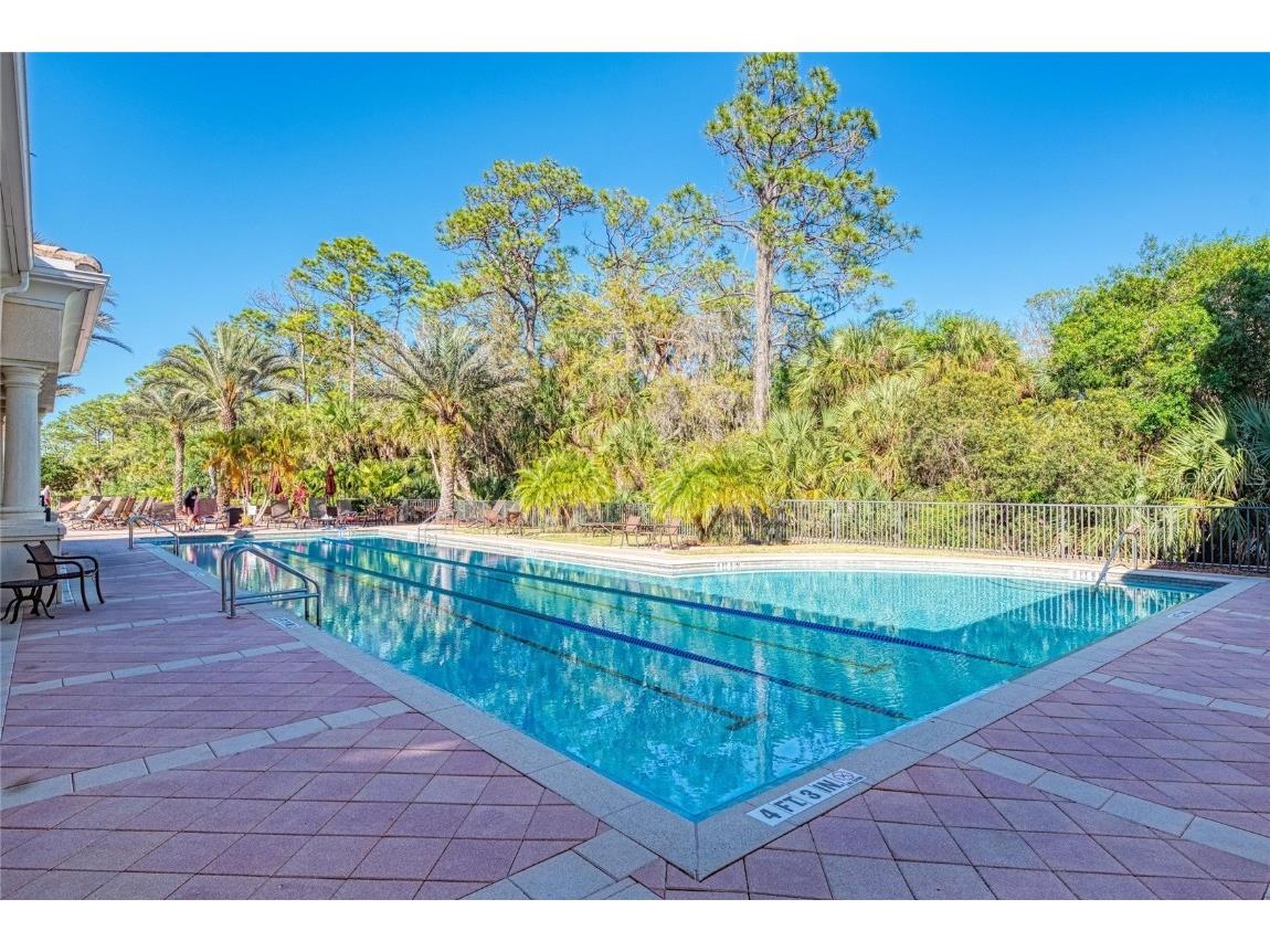 293 Martellago Drive North Venice FL 34275 N6141855 image79