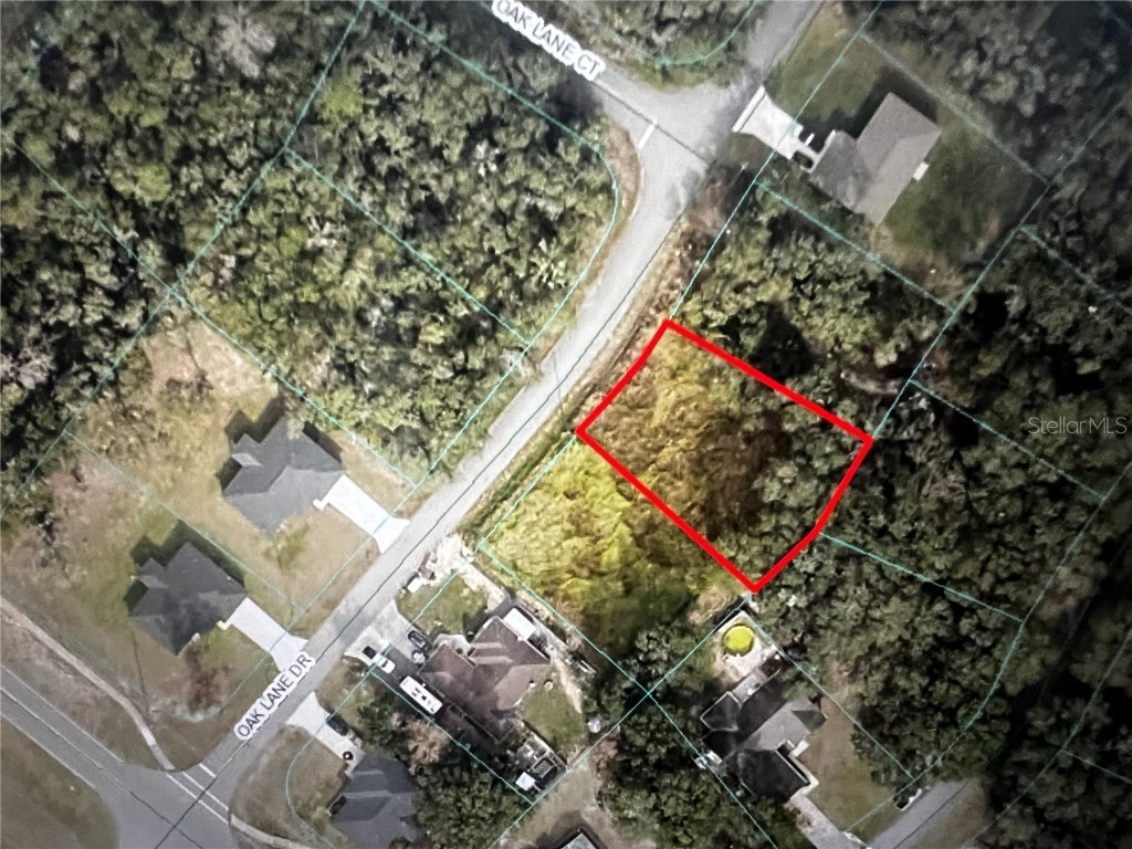 293 Oak Lane Drive Ocala FL 34472 OM691079 image12