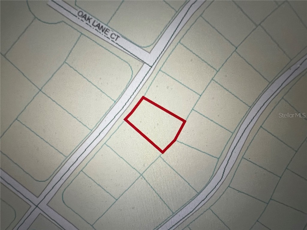 293 Oak Lane Drive Ocala FL 34472 OM691079 image3