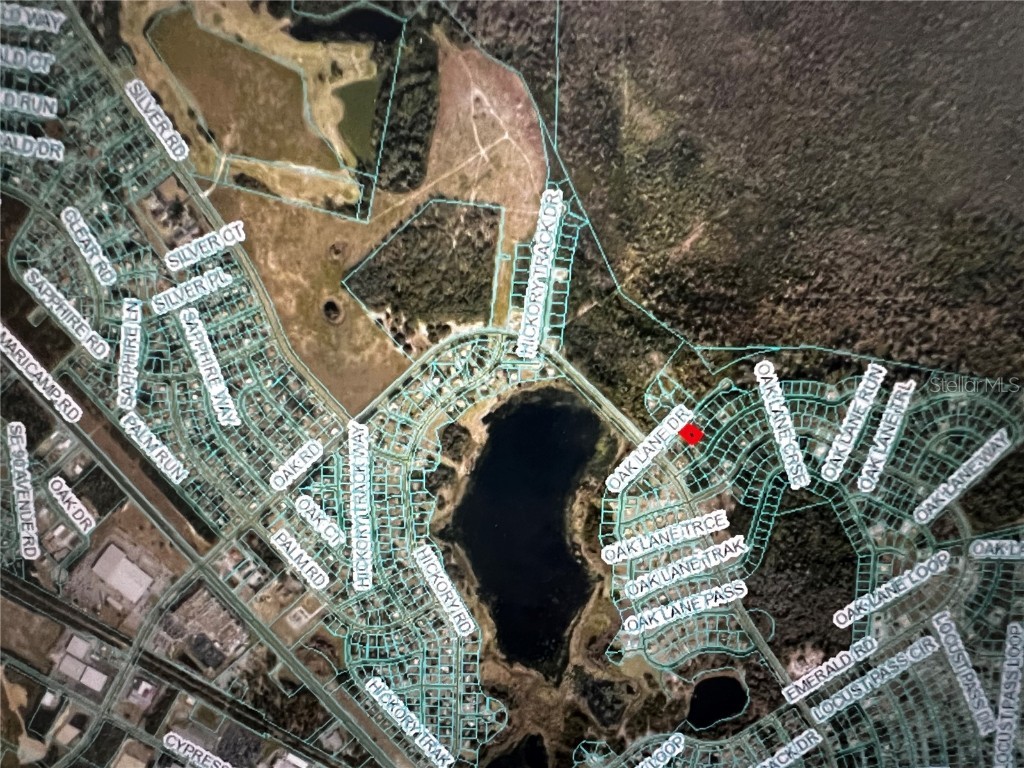 293 Oak Lane Drive Ocala FL 34472 OM691079 image7